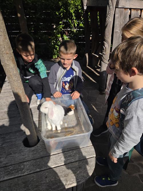 ZOO Bošovice 1